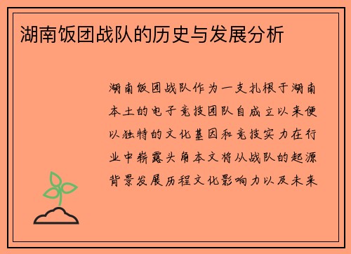 湖南饭团战队的历史与发展分析